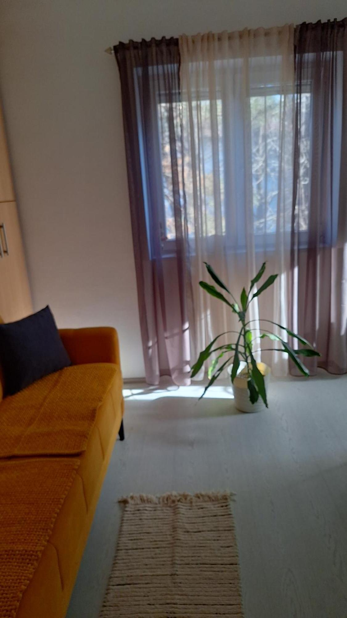 Apartman Maja เบลเกรด ภายนอก รูปภาพ